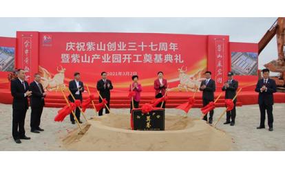 乐多游戏:生姜：价格涨跌本相大揭秘